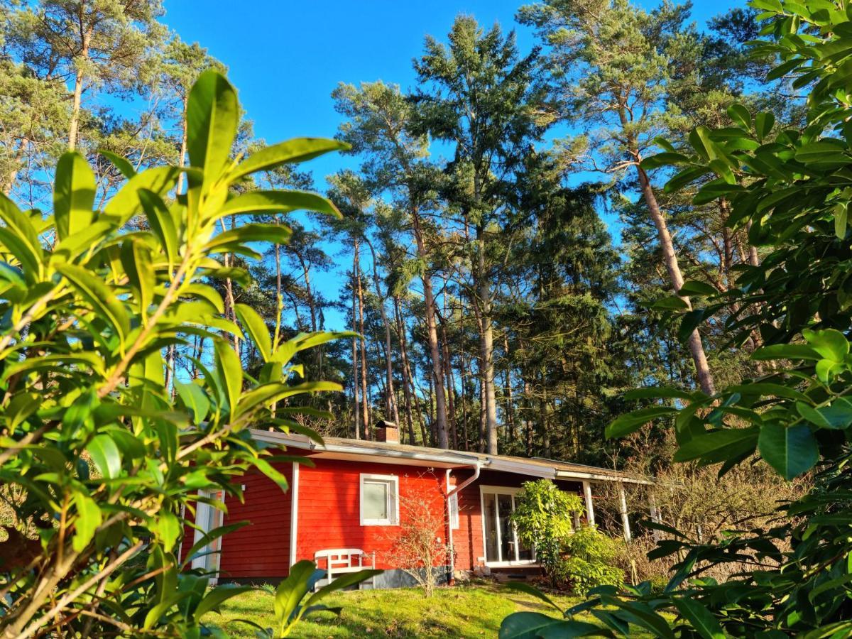 Waldhaus Doetlingen Ferienhaus Im Naturpark Exterior photo